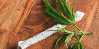 The Essential Role of Concentrate Jars in Your Daily Life CBD Prerolls