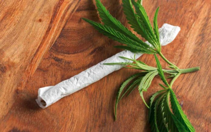 CBD-Prerolls CBD Prerolls