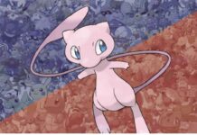 A MEW Choice for Collectors: The Latest Name in Premium Grading Mew Grading