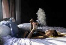 5 Reasons Sugar Cookies Weed Strain Deserves A Spot In Your Stash 5 Reasons Sugar Cookies Weed Strain Deserves A Spot In Your Stash