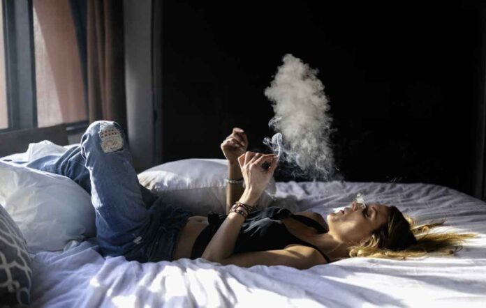 5 Reasons Sugar Cookies Weed Strain Deserves A Spot In Your Stash