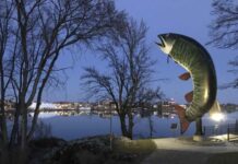 Wintry Weekend Locks In: Kenora & Lake of the Woods Forecast