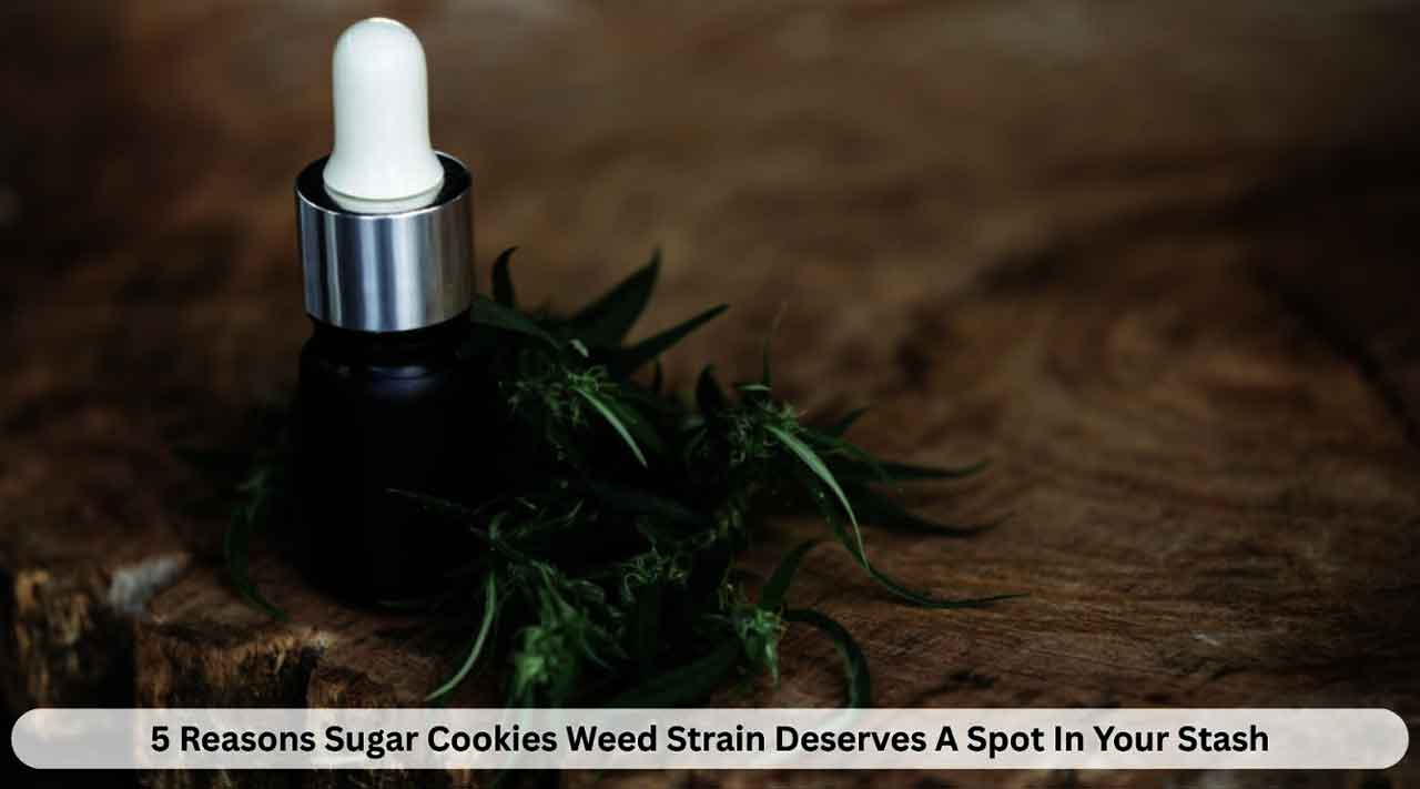 5 Reasons Sugar Cookies Weed Strain Deserves A Spot In Your Stash