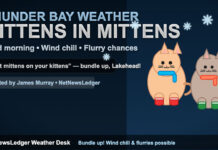 Thunder Bay: Brisk Northwesterly, Bright Spells, and Powerful Early Winter Wind Chill Thunder Bay Weather