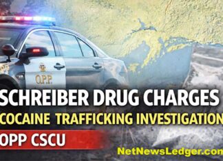 Schreiber: OPP Charge Local Man After Search Warrant Executed in Drug Trafficking Probe Schreiber drug probe: OPP charge man after warrant, suspected cocaine seized; penalties and tips to report