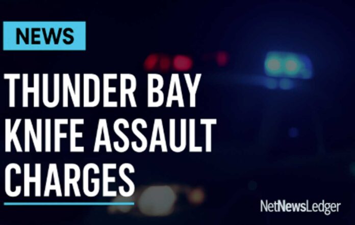 Knife Assault - Suspect arrested