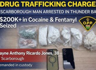 Scarborough Man Charged with Drug Trafficking in Thunder Bay After $200K+ Seizure Scarborough man charged after over $200K in fentanyl and cocaine seized in Thunder Bay drug trafficking probe