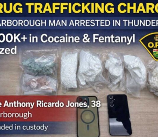 Scarborough Man Charged with Drug Trafficking in Thunder Bay After $200K+ Seizure Scarborough man charged after over $200K in fentanyl and cocaine seized in Thunder Bay drug trafficking probe