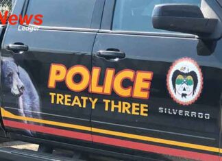 Treaty Three Police Share Call Volume to Strengthen Community Transparency Treaty Three Police share Dec. 8–29 call stats, highlighting R.I.D.E., checks, assists, and IPV calls.