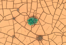 The 5 Best Mapping Software: An In-Depth Comparison Mapping Software