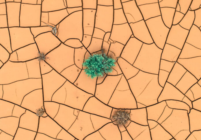 mapping-software Mapping Software