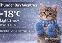 January 18 2026: Thunder Bay Weather | A Put “Mittens on your Kittens” Morning Jan 18 2026 - Weather for Thunder Bay - Put mittens on your kittens!