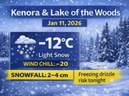 January 11, 2026: Kenora & Lake of the Woods Detailed Weather Forecast — Light Snow Now, More Snow Midday Kenora Weather