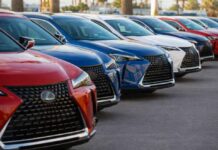 Dubai’s Commercial Vehicle Fleets: Key Lessons for Dealers on Profitable Operations Dubai