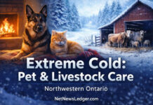 Deep Freeze Across Northwestern Ontario: Keeping Pets and Livestock Safe in Extreme Cold Cold snap in NWO: tips to protect dogs cats and livestock from wind chill, frostbite and ice at home.