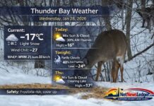 January 28, 2026: Thunder Bay Detailed Weather Forecast Thunder Bay weather forecast for Wednesday, January 28, 2026: light snow early and windy with a wind chill near -30 this morning, turning sunnier this afternoon. Flurries possible tonight, bitter cold overnight, and a cold but quieter Thursday and Friday.