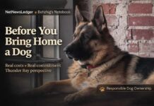 Before You Bring Home a Dog, Do the Sniff-Test on Your Life Real dog costs and commitment—Behzhig’s Thunder Bay guide to ownership before adopting a puppy here