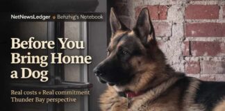Before You Bring Home a Dog, Do the Sniff-Test on Your Life Real dog costs and commitment—Behzhig’s Thunder Bay guide to ownership before adopting a puppy here