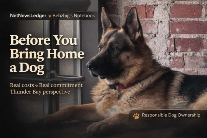 Real dog costs and commitment—Behzhig’s Thunder Bay guide to ownership before adopting a puppy here Real dog costs and commitment—Behzhig’s Thunder Bay guide to ownership before adopting a puppy here