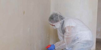 The Connection Between Home Mold and Chronic Health Issues Home Mold management to protect health