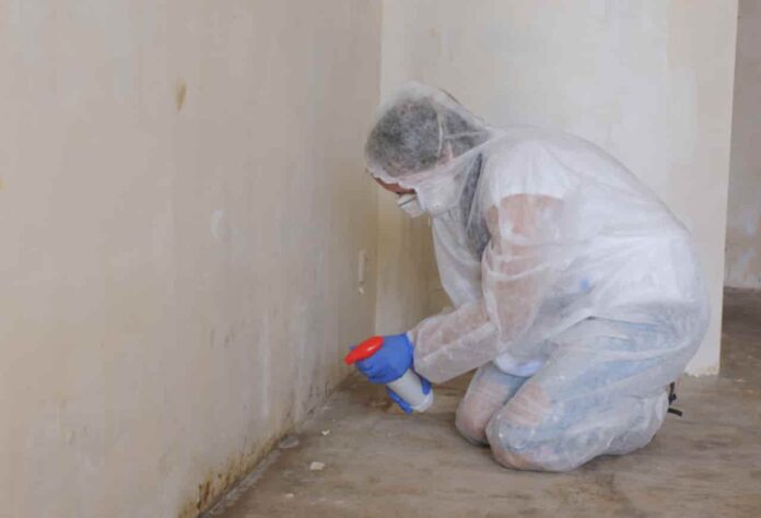 Home Mold management to protect health
