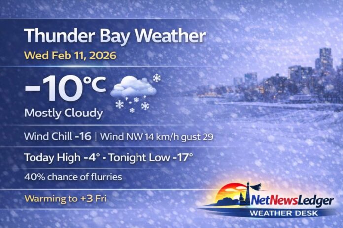 Thunder Bay Weather for February 11 2026