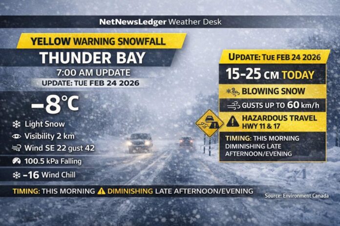 Thunder Bay weather update for Feb. 24, 2026: Yellow Snowfall Warning in effect with 15–25 cm possible, heavy snow at times, blowing snow, reduced visibility, and hazardous travel on Highways 11 and 17. Current conditions near -8°C with gusty southeast winds.