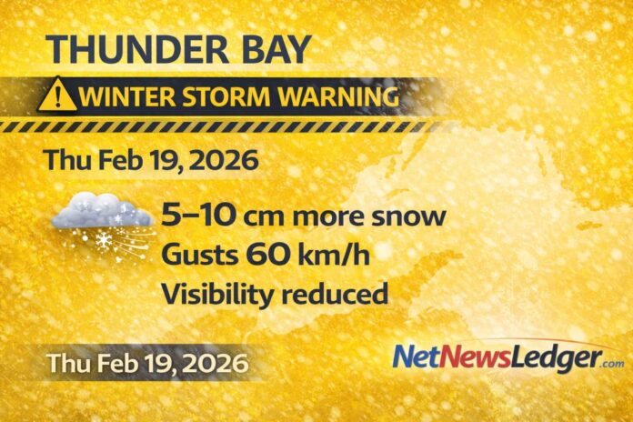 Thunder Bay Weaher