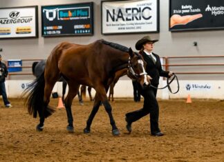 Murillo Youth Rider Rachel Berry Earns National AQHA Title in Breakout First Season Murillo Youth Rider Rachel Berry Earns National AQHA Title in Breakout First Season