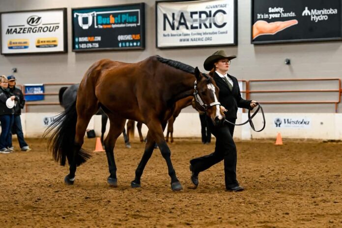 Murillo Youth Rider Rachel Berry Earns National AQHA Title in Breakout First Season