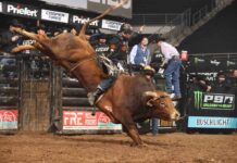 Austin Richardson Wins Round 1 of Kubota PBR Little Rock with Unleash The Beast Season-High 93.30 Points Missouri Thunder Clinch No. 1 Seed in First-Ever Monster Energy Team Challenge Championship