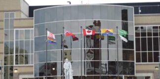 So You Want to Run for City Council? Thunder Bay, Thunder Bay city council, 2026 municipal election, Thunder Bay mayor, civic politics, local election, Northwestern Ontario, municipal government, city hall, voter engagement, campaign strategy, ward politics