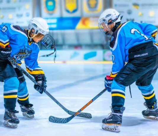 The Impact of New Training Technologies on the Preparation of Ice Hockey Players The Impact of New Training Technologies on the Preparation of Ice Hockey Players