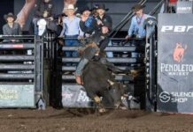 MARCUS MAST BATTLES THROUGH TOUGH WEEKEND TO REIGN VICTORIOUS IN READING IN FRONT OF SELLOUT CROWD Marcus Mast prevailed at PBR Reading to hold the event buckle up high Saturday night, covering two of his three bulls in Santander Arena