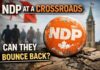 NDP members meet in Winnipeg to pick a New Leader as the Party searches for relevance again The NDP’s path back starts with accepting how deep the collapse has been