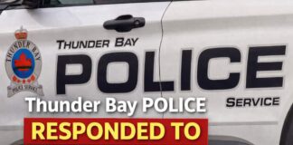 Thunder Bay police responded to 885 calls for service in past week Thunder Bay Police Calls for Service March 1-7 2026