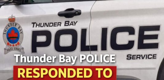 Thunder Bay police responded to 885 calls for service in past week Thunder Bay Police Calls for Service March 1-7 2026
