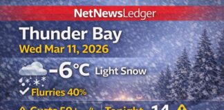 March 11, 2026: Thunder Bay Detailed Weather Forecast — Flurries and Gusty Winds, Then a Deep Freeze Tonight Thunder Bay Weather March 11 2026