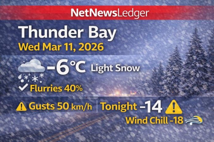 Thunder Bay Weather March 11 2026