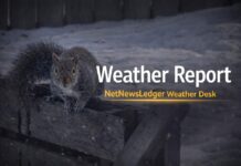 March 18, 2026: Thunder Bay Weather Forecast — Light Snow Early, Cloudy Day, Milder Trend Ahead Thunder Bay Weather