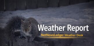 March 18, 2026: Thunder Bay Weather Forecast — Light Snow Early, Cloudy Day, Milder Trend Ahead Thunder Bay Weather
