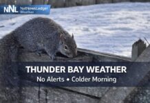 March 22, 2026: Thunder Bay Wakes Up Colder, Calmer, and With No Weather Alerts Thunder Bay Weather