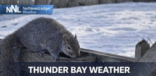 March 22, 2026: Thunder Bay Wakes Up Colder, Calmer, and With No Weather Alerts Thunder Bay Weather