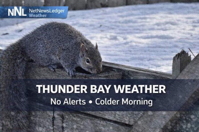 Thunder Bay Weather