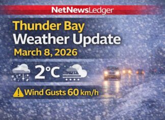 March 8, 2026: Thunder Bay Forecast — Wet Snow This Morning, Windy and Milder to +9°C Thunder Bay Weather