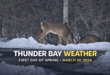 March 20, 2026: Thunder Bay Weather Forecast for the First Day of Spring Thunder Bay Weather