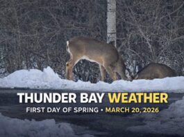 March 20, 2026: Thunder Bay Weather Forecast for the First Day of Spring Thunder Bay Weather