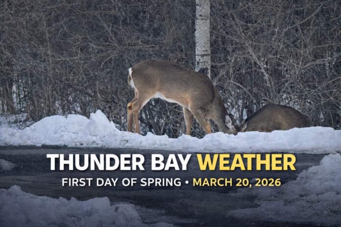 Thunder Bay Weather Update Mar 20, 2026 at 09_51_07 AM Thunder Bay Weather