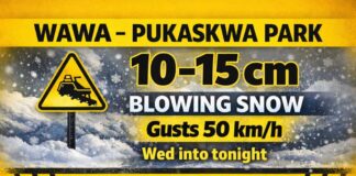 March 18, 2026: Wawa Weather Forecast — 10–15 cm Snowfall and Blowing Snow Making Travel Difficult Wawa Weather