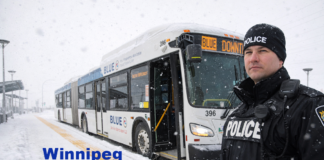 Winnipeg police say a focused transit safety strategy cut violent, property and total crime in late 2025 Winnipeg police say a focused transit safety strategy cut violent, property and total crime in late 2025